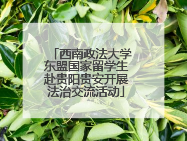 西南政法大学东盟国家留学生赴贵阳贵安开展法治交流活动