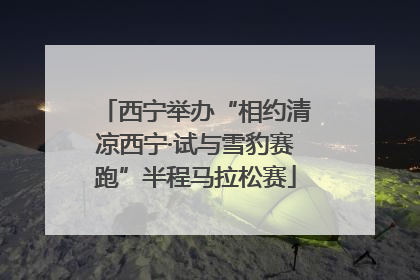 西宁举办“相约清凉西宁·试与雪豹赛跑”半程马拉松赛
