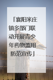 襄阳米庄镇多部门联动开展青少年药物滥用防范宣传
