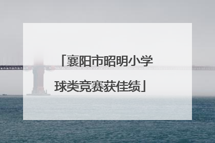 襄阳市昭明小学球类竞赛获佳绩