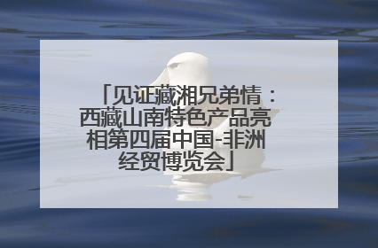 见证藏湘兄弟情：西藏山南特色产品亮相第四届中国-非洲经贸博览会