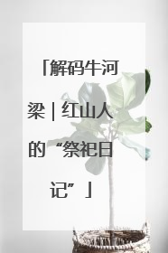 解码牛河梁｜红山人的“祭祀日记”