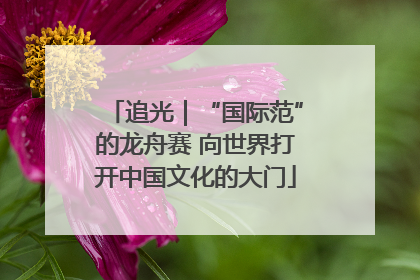 追光｜“国际范”的龙舟赛 向世界打开中国文化的大门