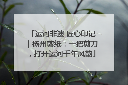 运河非遗 匠心印记｜扬州剪纸：一把剪刀，打开运河千年风韵