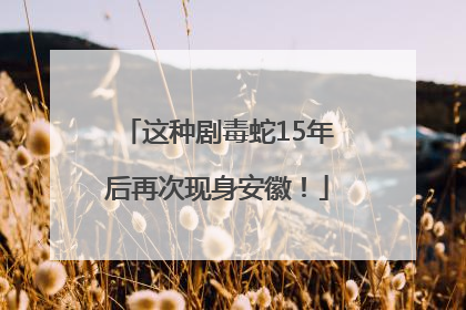 这种剧毒蛇15年后再次现身安徽！