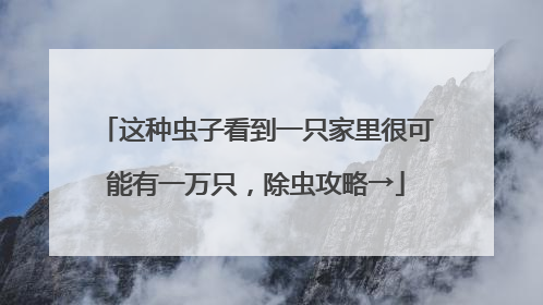 这种虫子看到一只家里很可能有一万只，除虫攻略→