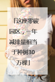 这座零碳园区，一年减排量相当于种树30万棵