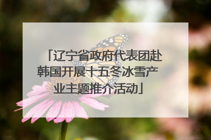 辽宁省政府代表团赴韩国开展十五冬冰雪产业主题推介活动