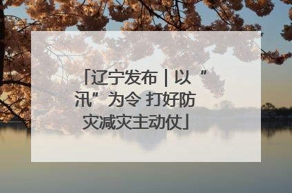 辽宁发布｜以“汛”为令 打好防灾减灾主动仗
