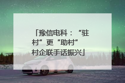 豫信电科：“驻村”更“助村” 村企联手话振兴