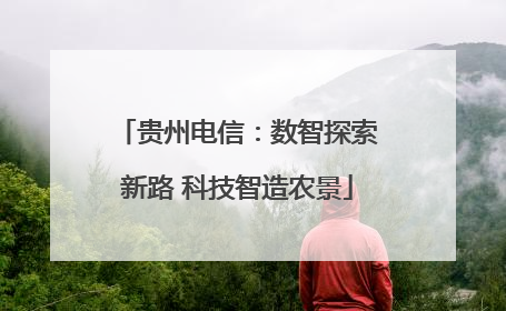 贵州电信：数智探索新路 科技智造农景