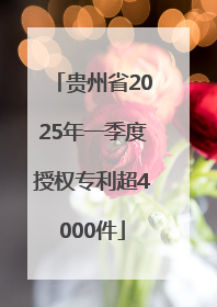 贵州省2025年一季度授权专利超4000件