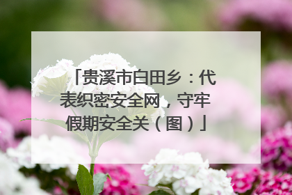 贵溪市白田乡：代表织密安全网，守牢假期安全关（图）