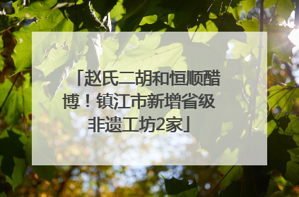 赵氏二胡和恒顺醋博！镇江市新增省级非遗工坊2家
