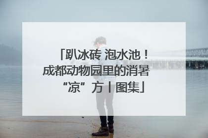 趴冰砖 泡水池！成都动物园里的消暑“凉”方丨图集