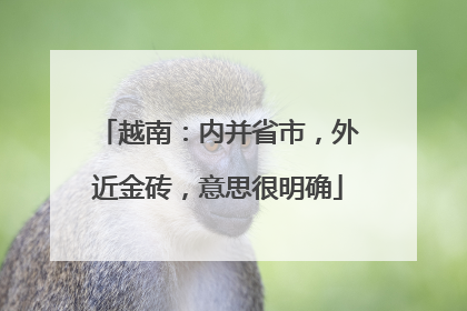 越南：内并省市，外近金砖，意思很明确