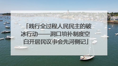 践行全过程人民民主的破冰行动——洞口填补制度空白开居民议事会先河侧记