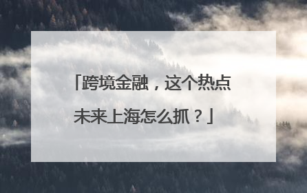 跨境金融，这个热点未来上海怎么抓？