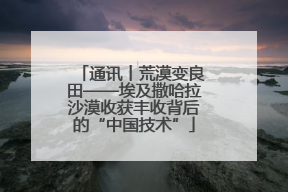 通讯丨荒漠变良田——埃及撒哈拉沙漠收获丰收背后的“中国技术”
