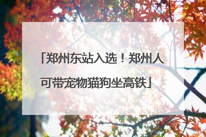 郑州东站入选！郑州人可带宠物猫狗坐高铁