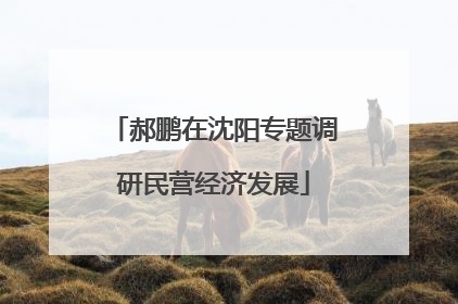 郝鹏在沈阳专题调研民营经济发展