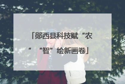 郧西县科技赋“农”“智”绘新画卷
