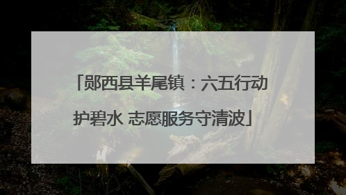 郧西县羊尾镇：六五行动护碧水 志愿服务守清波