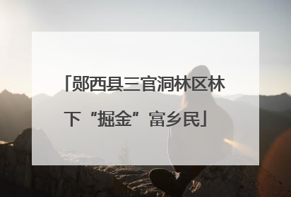 郧西县三官洞林区林下“掘金”富乡民
