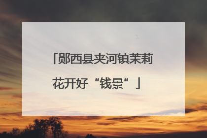 郧西县夹河镇茉莉花开好“钱景”