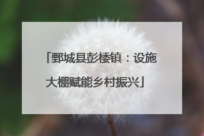 鄄城县彭楼镇：设施大棚赋能乡村振兴