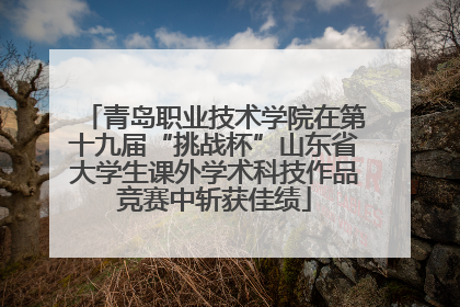 青岛职业技术学院在第十九届“挑战杯”山东省大学生课外学术科技作品竞赛中斩获佳绩