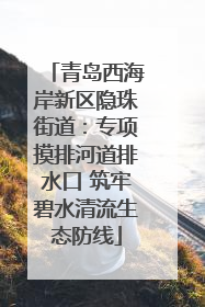 青岛西海岸新区隐珠街道：专项摸排河道排水口 筑牢碧水清流生态防线