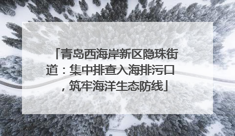 青岛西海岸新区隐珠街道：集中排查入海排污口，筑牢海洋生态防线