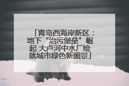 青岛西海岸新区：地下“治污堡垒”崛起 大卢河中水厂绘就城市绿色新图景