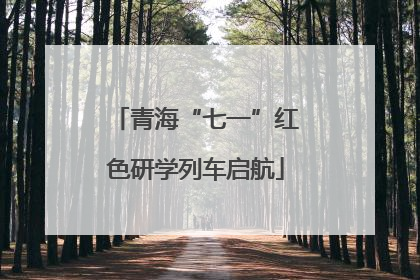 青海“七一”红色研学列车启航