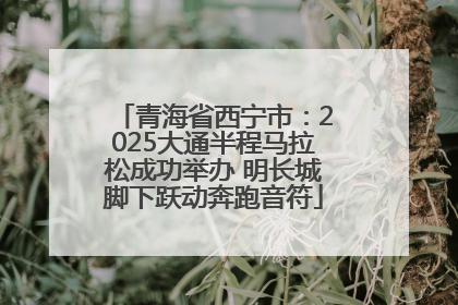 青海省西宁市：2025大通半程马拉松成功举办 明长城脚下跃动奔跑音符