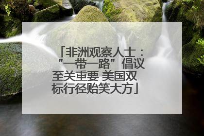 非洲观察人士：“一带一路”倡议至关重要 美国双标行径贻笑大方