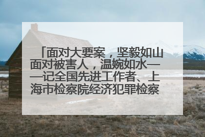 面对大要案，坚毅如山面对被害人，温婉如水——记全国先进工作者、上海市检察院经济犯罪检察部主任马玮玮