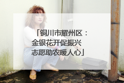 铜川市耀州区：金银花开促振兴 志愿助农暖人心