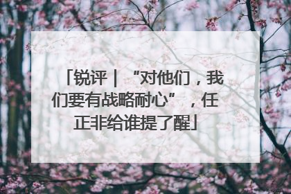 锐评｜“对他们，我们要有战略耐心”，任正非给谁提了醒