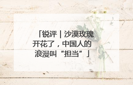 锐评｜沙漠玫瑰开花了，中国人的浪漫叫“担当”