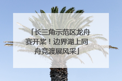 长三角示范区龙舟赛开桨！边界湖上同舟竞渡展风采