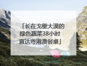 长在戈壁大漠的绿色蔬菜38小时直达粤港澳餐桌