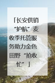 长安供销“护航”麦收季托管服务助力金色田野“抢收忙”