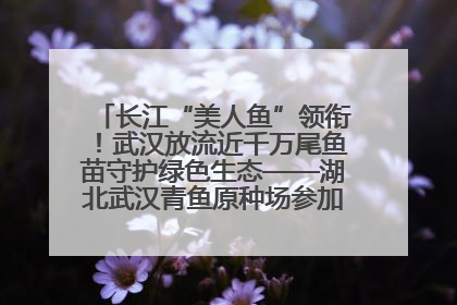 长江“美人鱼”领衔！武汉放流近千万尾鱼苗守护绿色生态——湖北武汉青鱼原种场参加2025年“全国放鱼日”增殖放流活动
