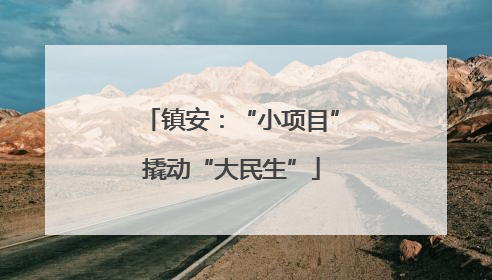 镇安：“小项目”撬动“大民生”