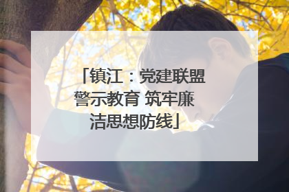 镇江：党建联盟警示教育 筑牢廉洁思想防线