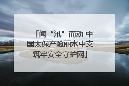闻“汛”而动 中国太保产险丽水中支筑牢安全守护网