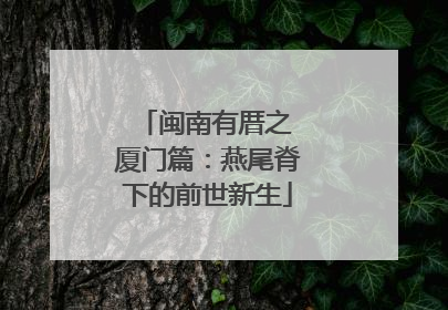 闽南有厝之 厦门篇：燕尾脊下的前世新生
