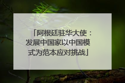 阿根廷驻华大使：发展中国家以中国模式为范本应对挑战